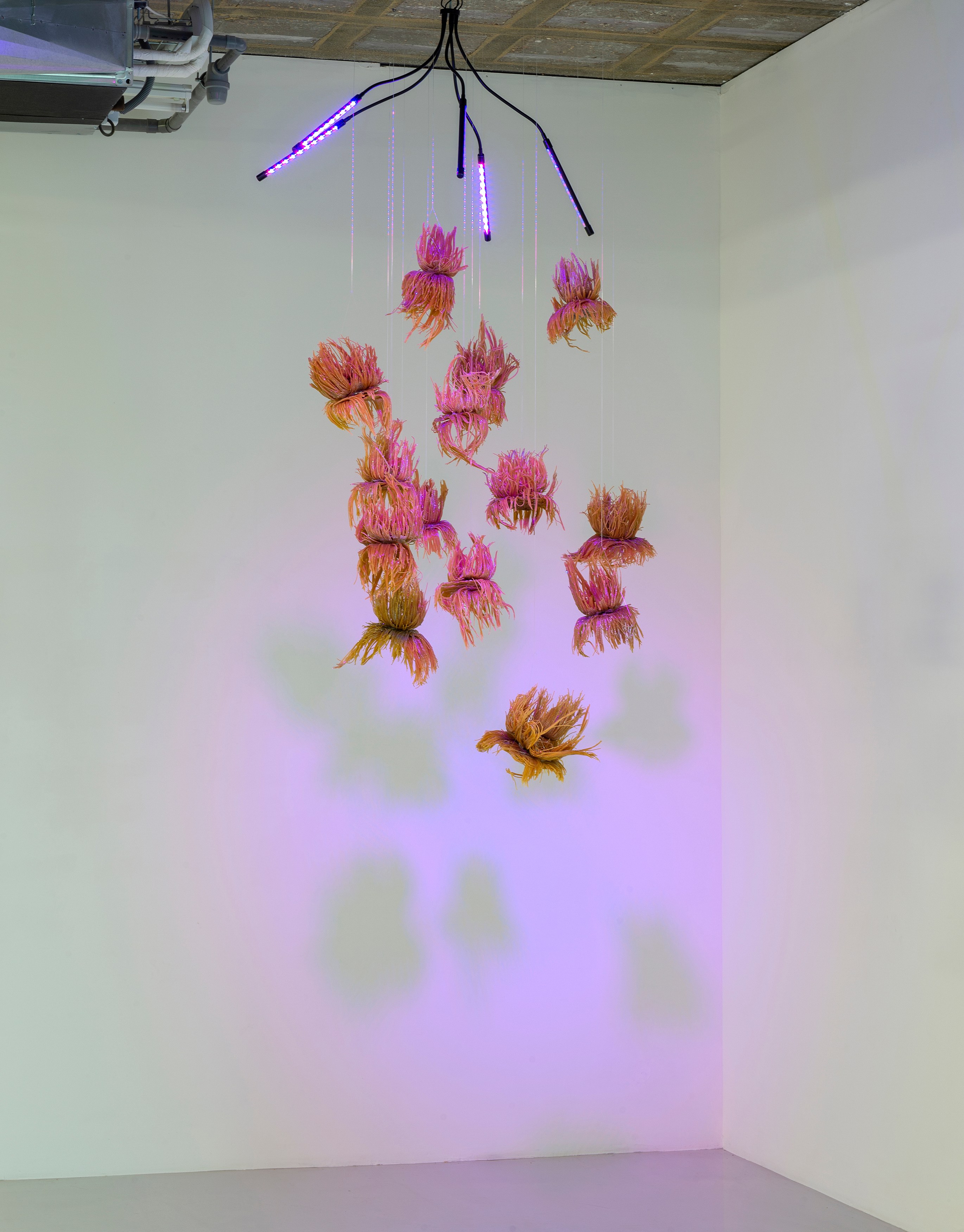Mégane Brauer, Mordre et Tenir. Chapitre 3 at Air de Paris, photo 9