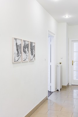 Image 10 of 20