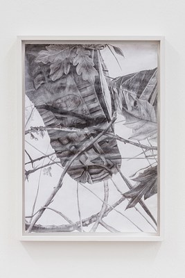 Image 14 of 20