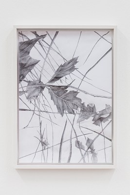 Image 16 of 20