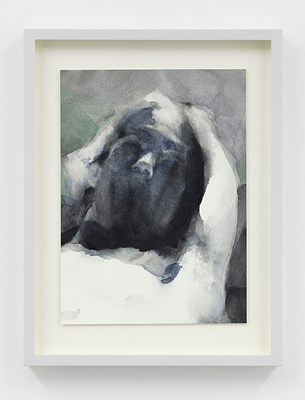 Image 20 of 20