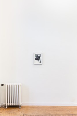 Image 19 of 20