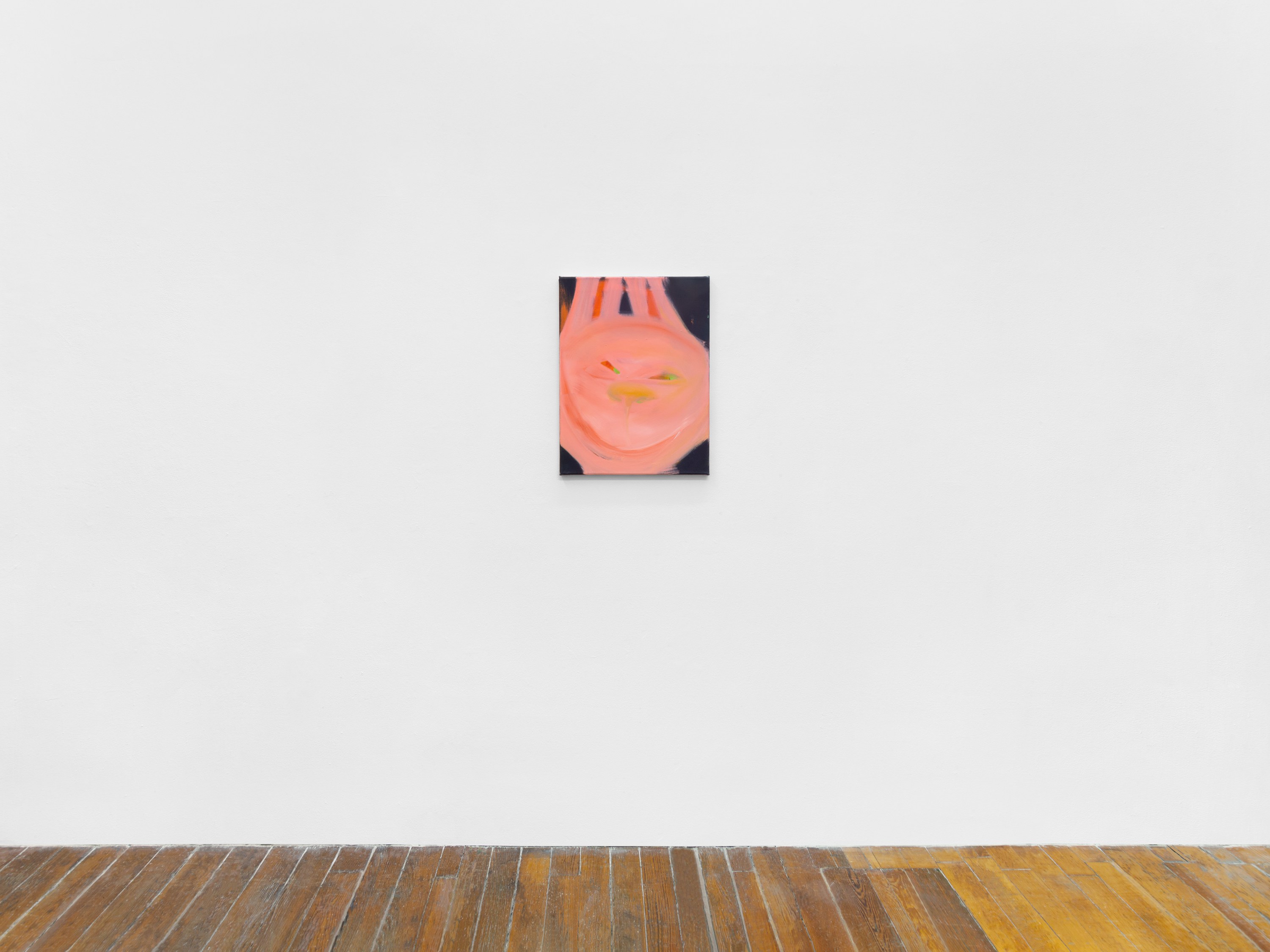 Aneta Kajzer, It Must Be Bunnies at PAGE (NYC), New York and Andrew Kreps, New York, photo 5