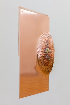 Image 13 of 30