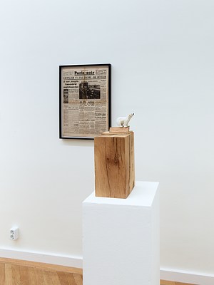 Image 3 of 36