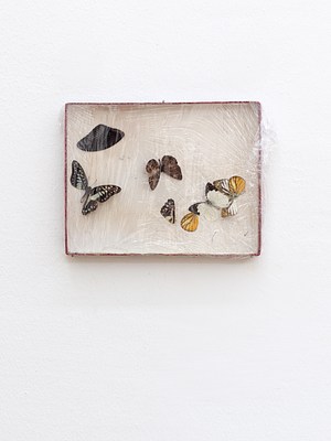 Image 20 of 36