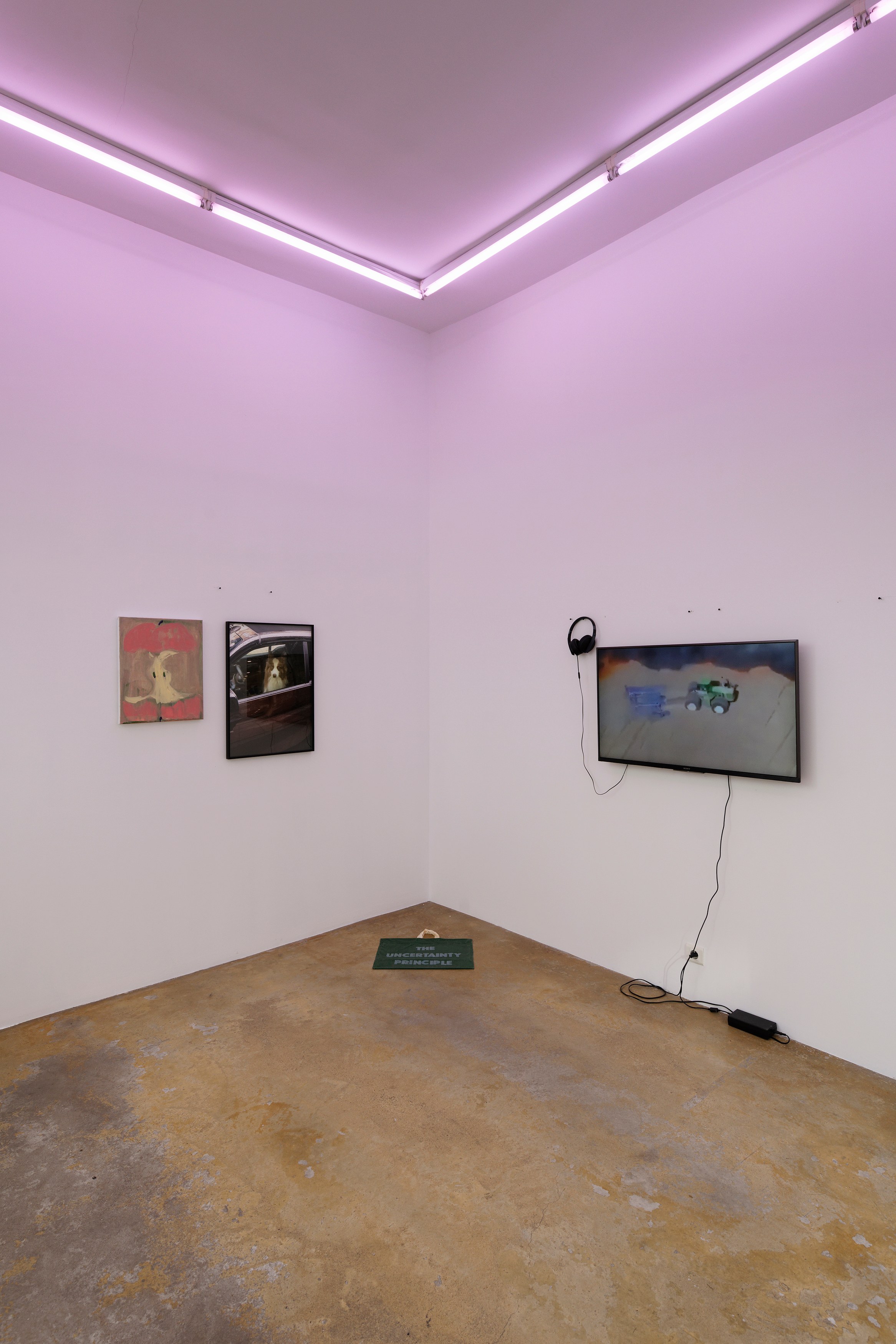 La Fatigue, La Fatigue at Galerie Florence Loewy, photo 3