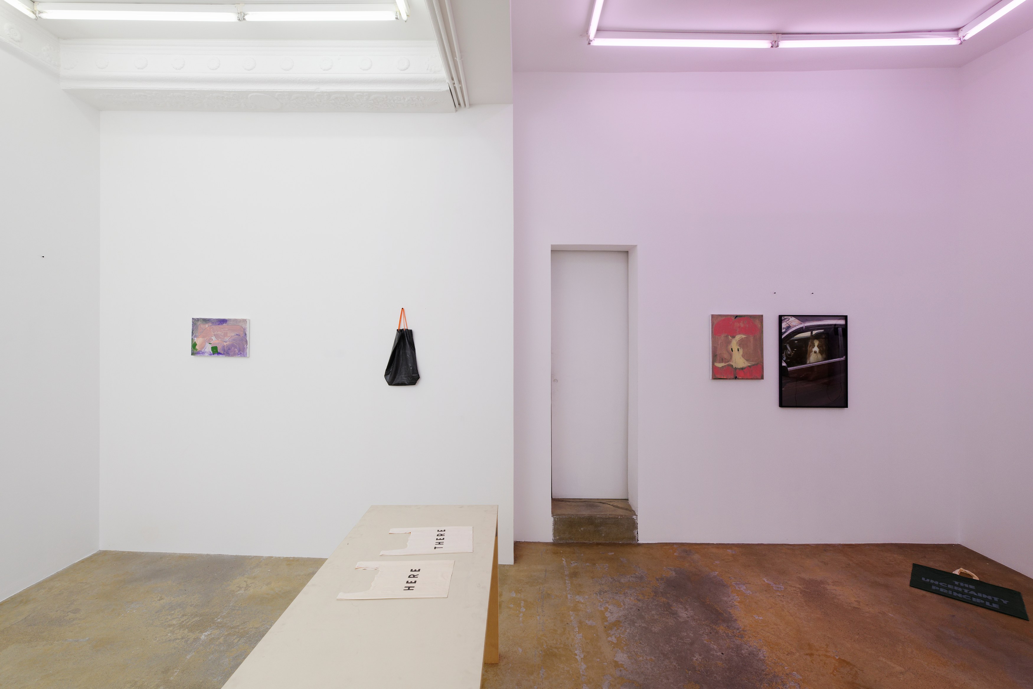 La Fatigue, La Fatigue at Galerie Florence Loewy, photo 4