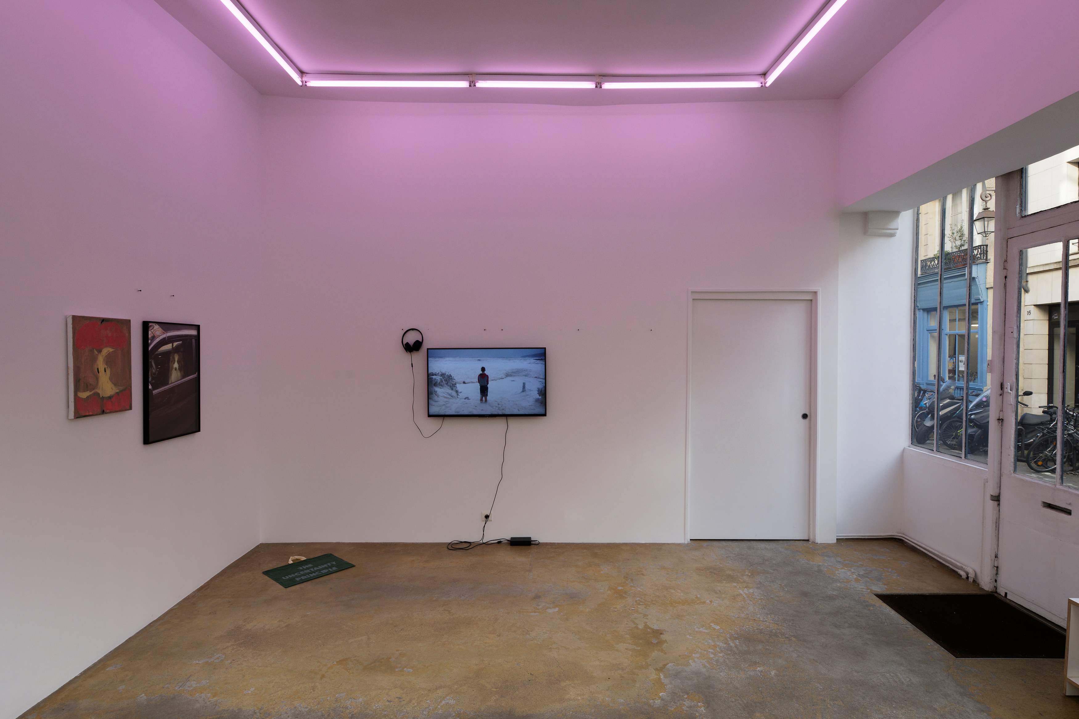 La Fatigue, La Fatigue at Galerie Florence Loewy, photo 5