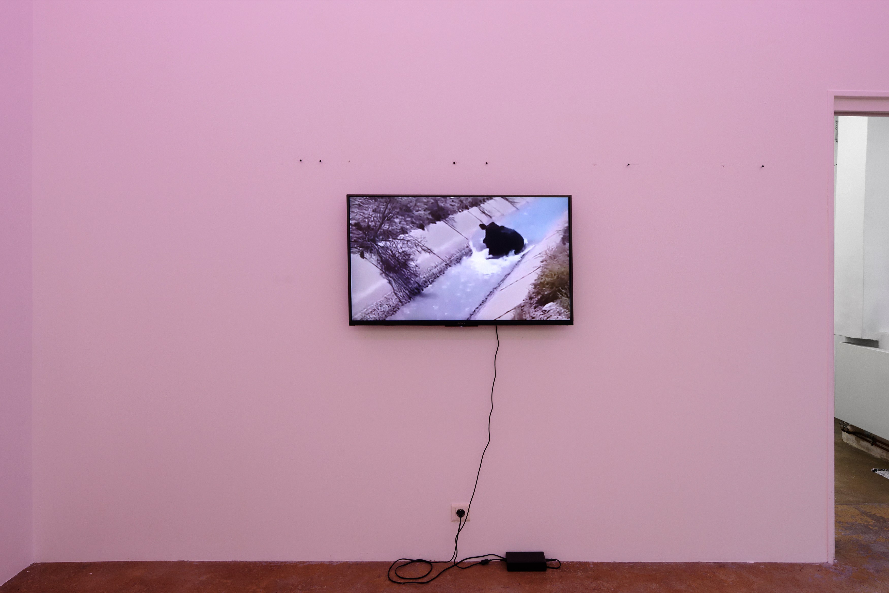 La Fatigue, La Fatigue at Galerie Florence Loewy, photo 16