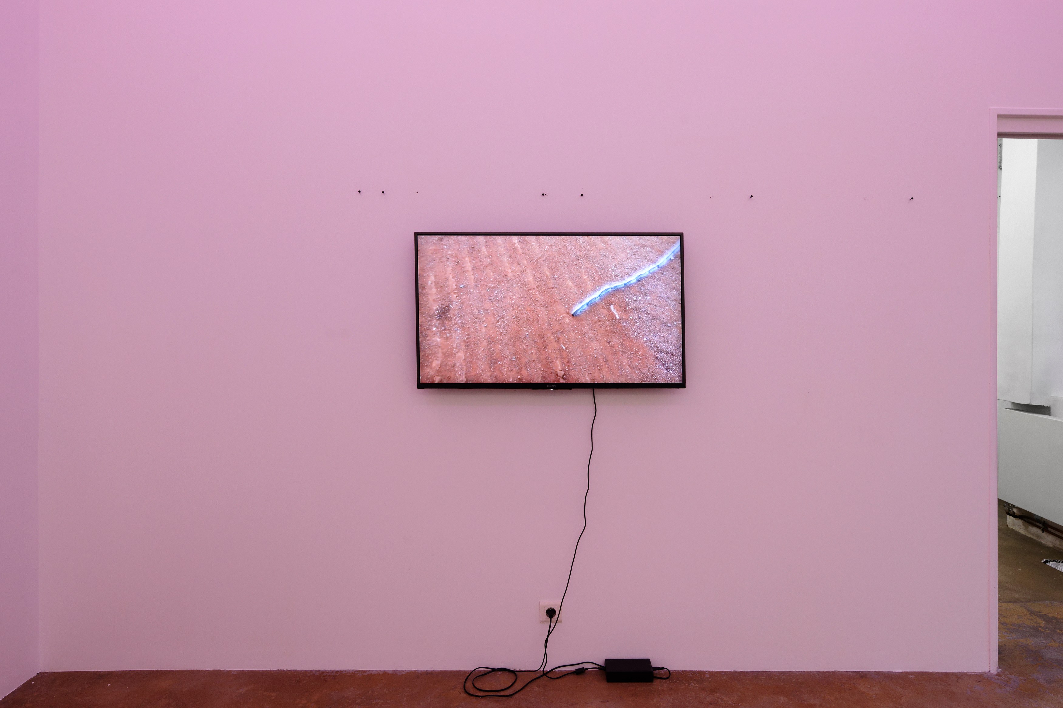 La Fatigue, La Fatigue at Galerie Florence Loewy, photo 18