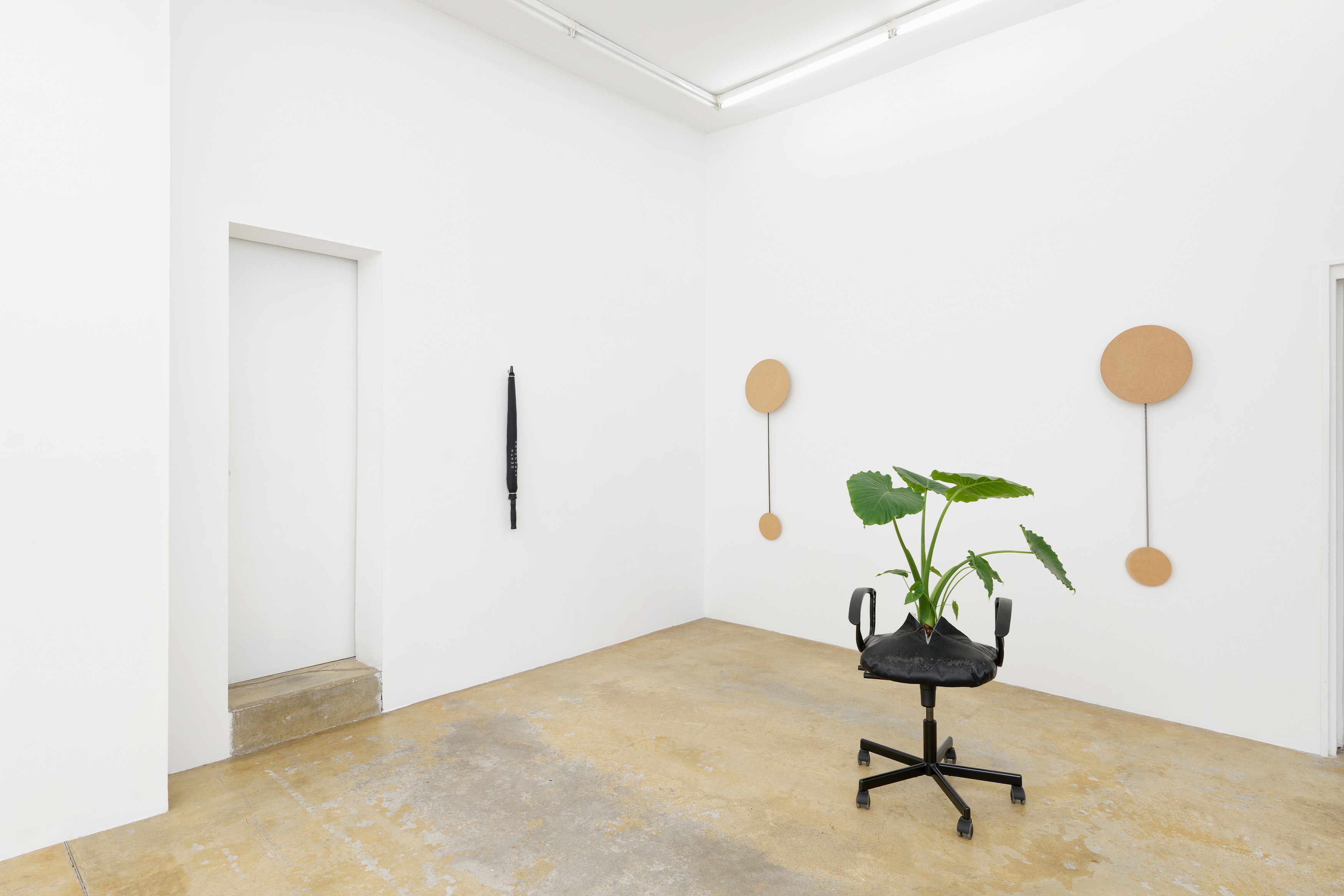 La Fatigue, La Fatigue at Galerie Florence Loewy, photo 22