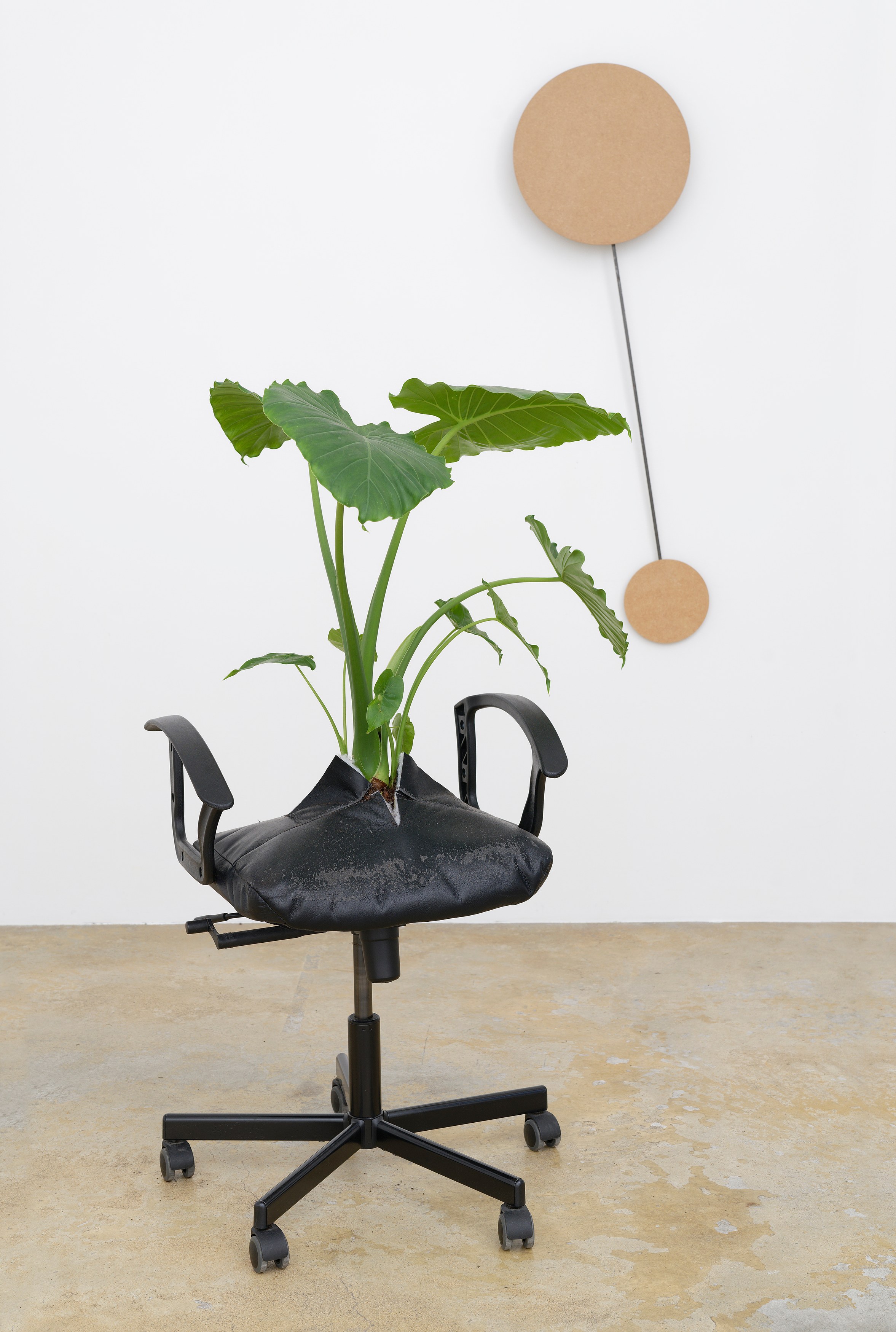 La Fatigue, La Fatigue at Galerie Florence Loewy, photo 25
