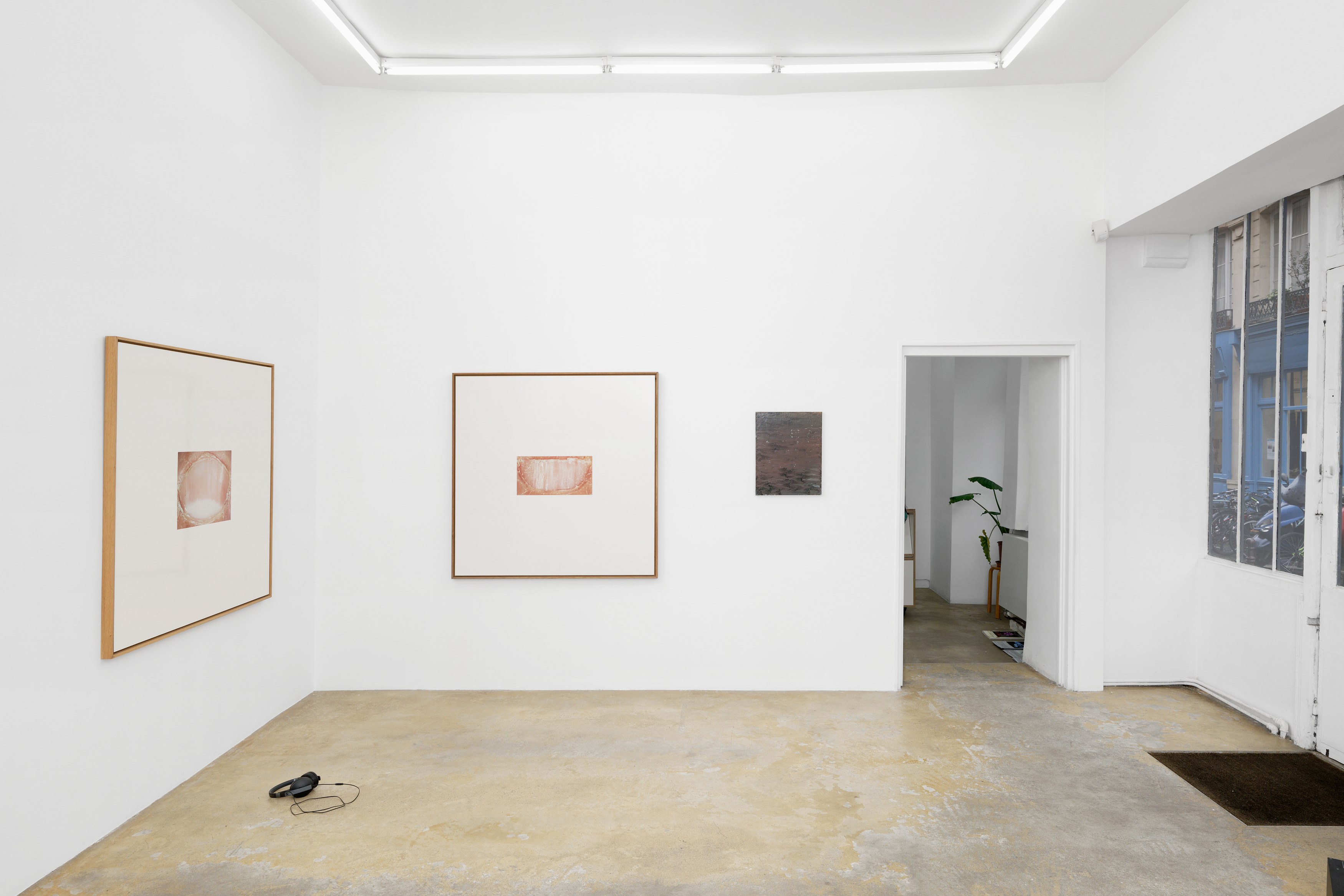 La Fatigue, La Fatigue at Galerie Florence Loewy, photo 32