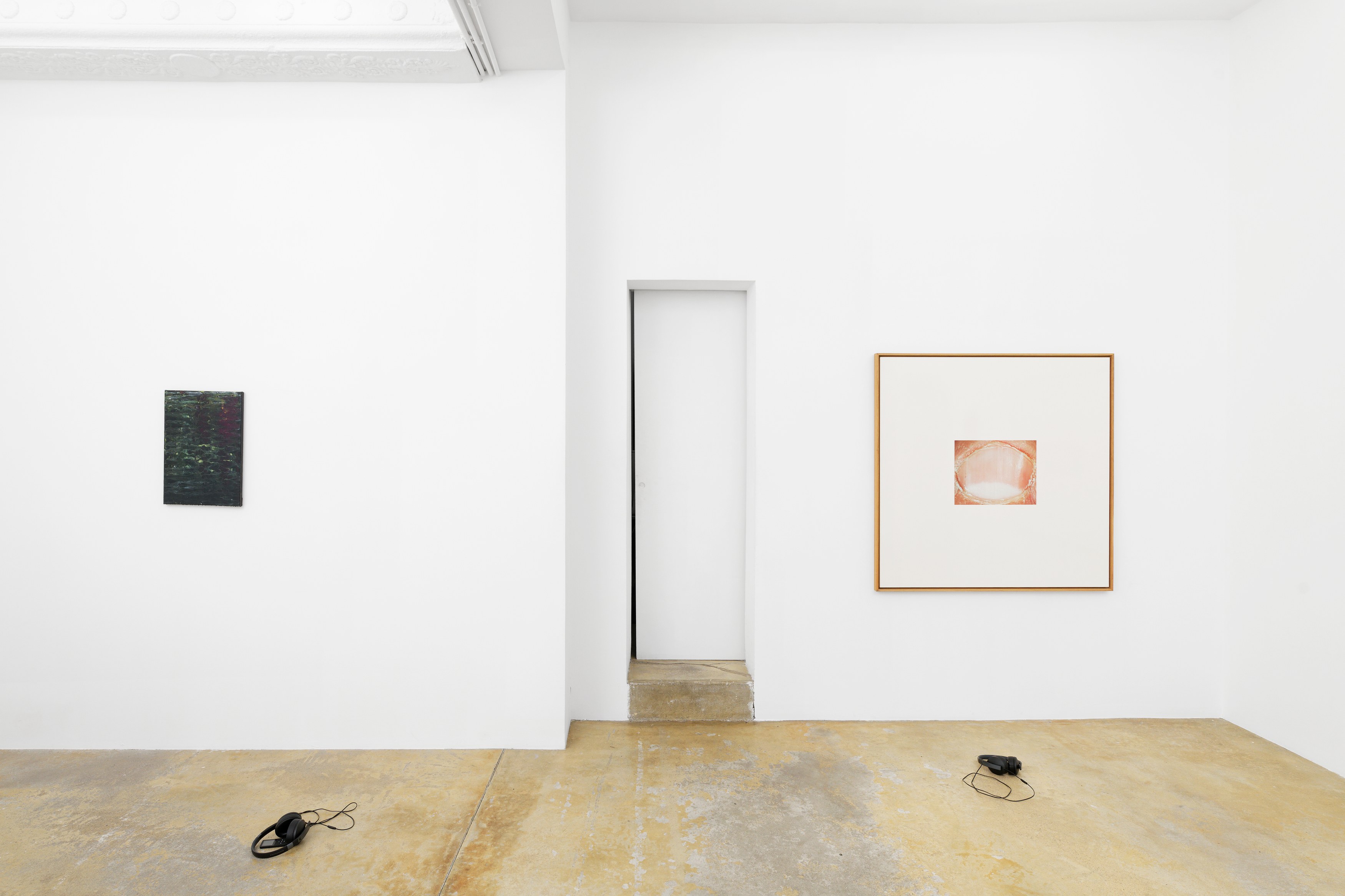 La Fatigue, La Fatigue at Galerie Florence Loewy, photo 33