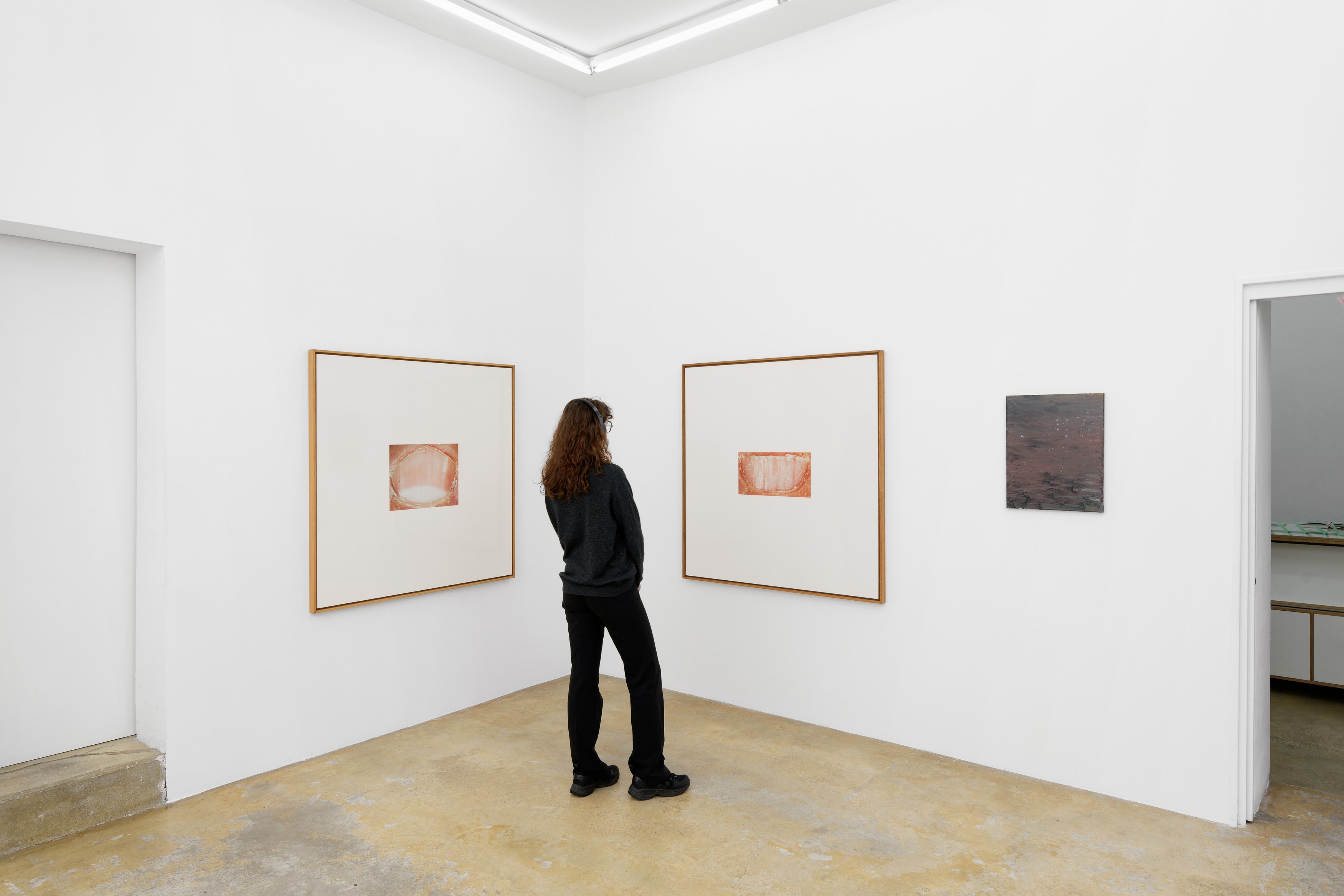 La Fatigue, La Fatigue at Galerie Florence Loewy, photo 34