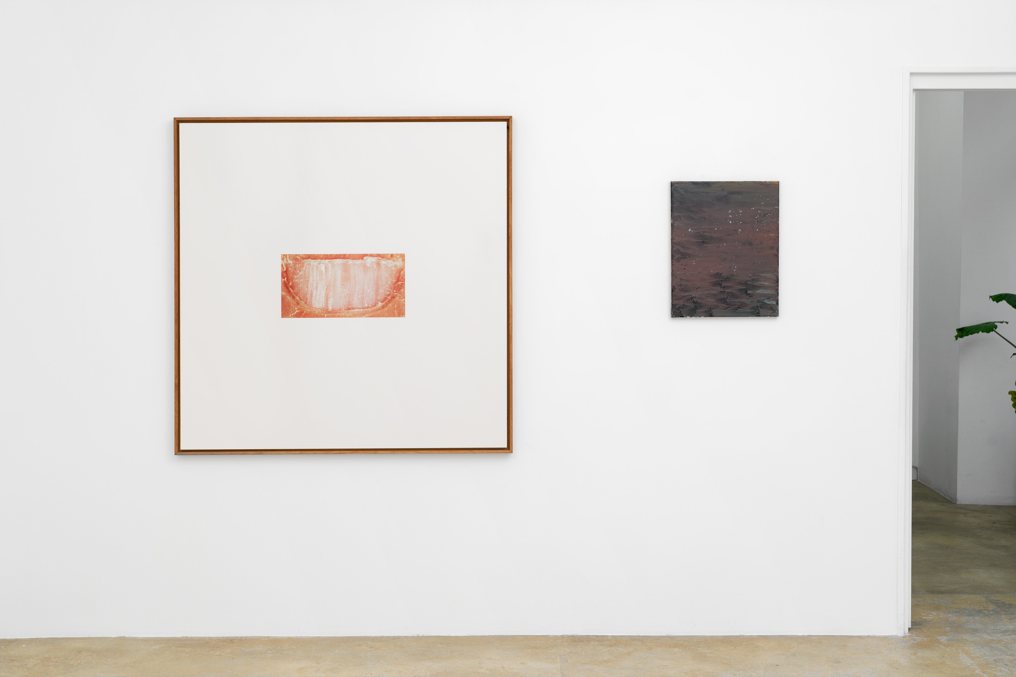 La Fatigue, La Fatigue at Galerie Florence Loewy, photo 36