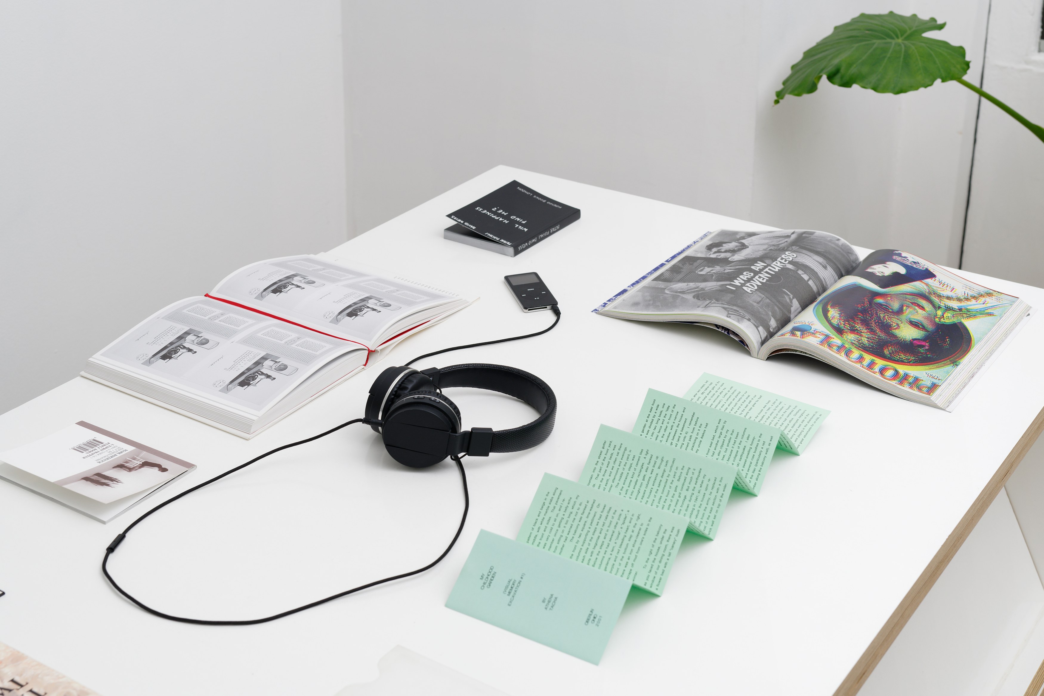 La Fatigue, La Fatigue at Galerie Florence Loewy, photo 37