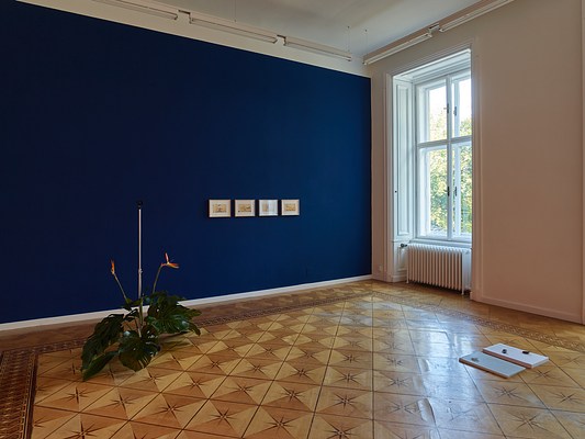 Image 1 of 19