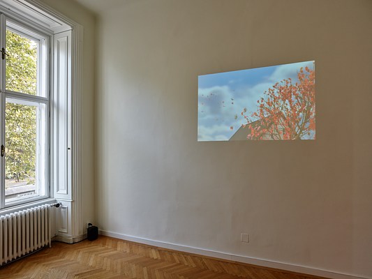 Image 12 of 19