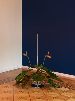 Image 5 of 19
