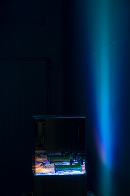 Image 16 of 16