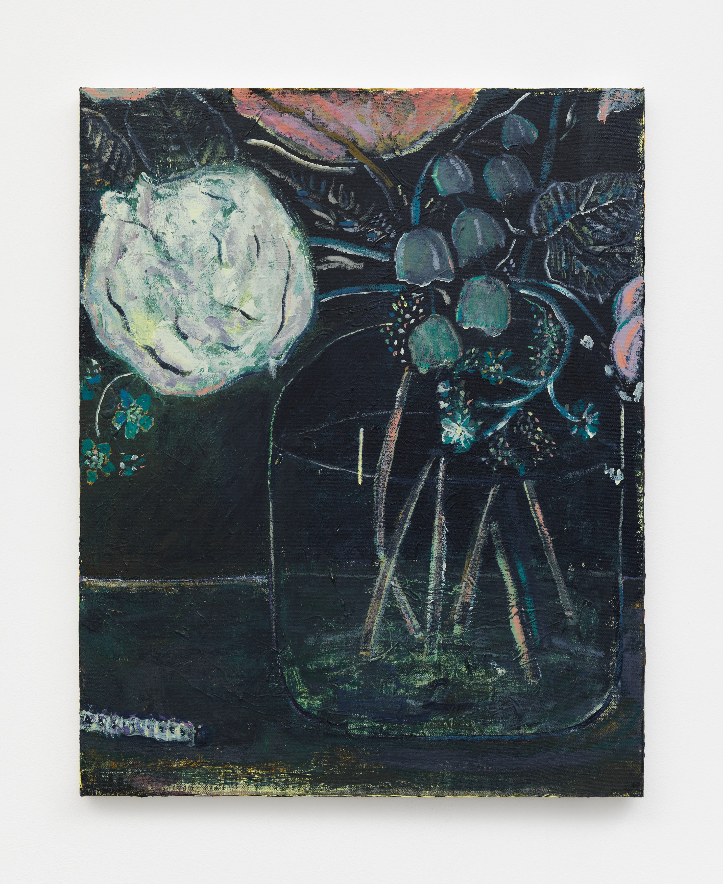 Zach Bruder, Edening On at Magenta Plains, photo 7