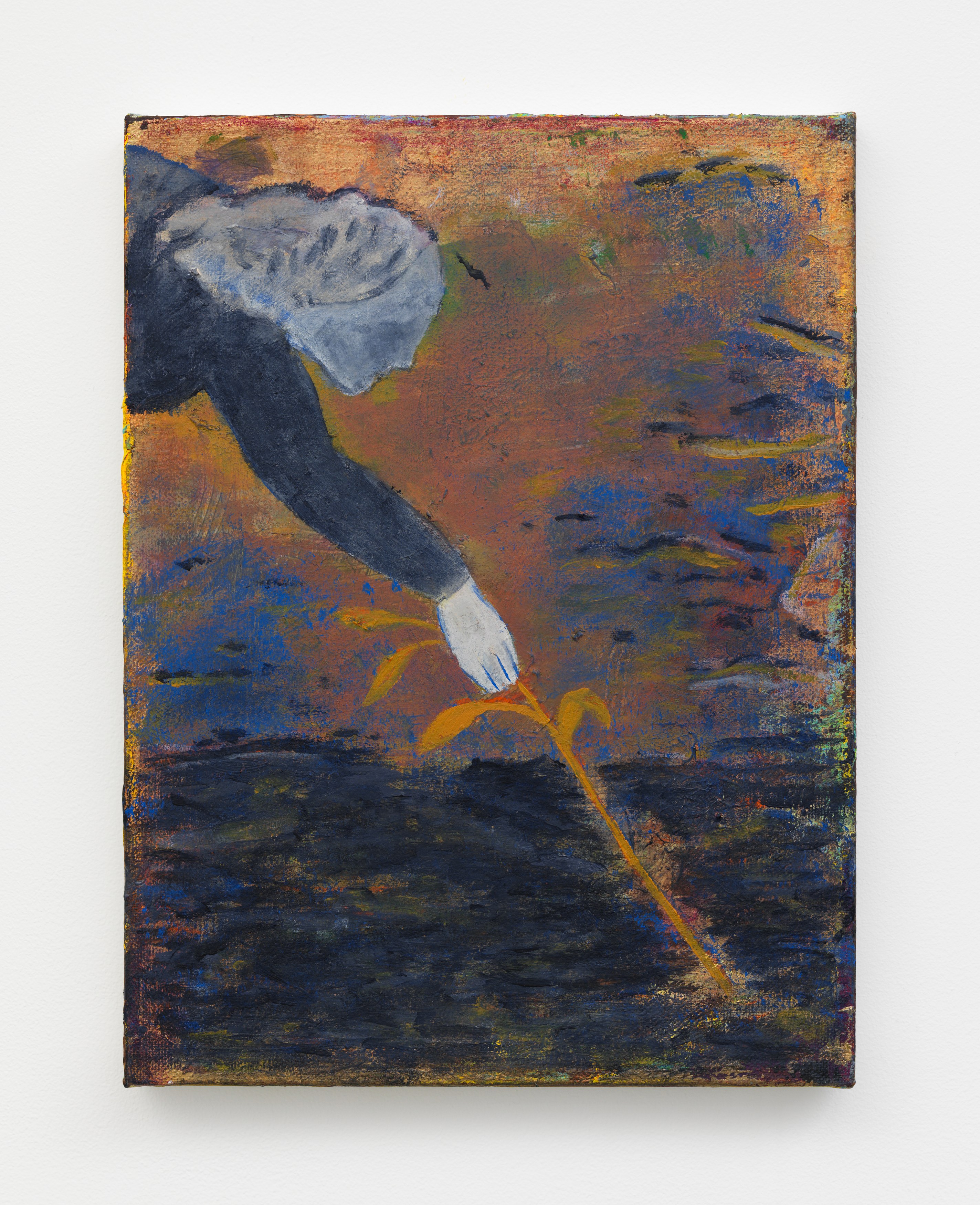Zach Bruder, Edening On at Magenta Plains, photo 6