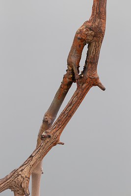 Image 14 of 30