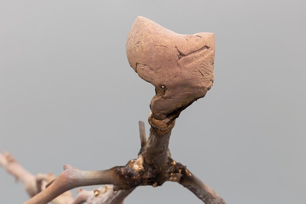 Image 11 of 30