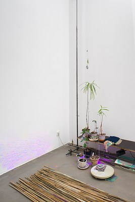 Image 7 of 17