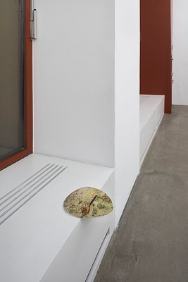 Image 8 of 23