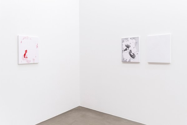 Image 10 of 32