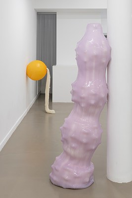 Image 6 of 20