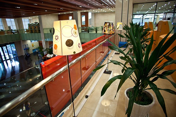 Image 9 of 25