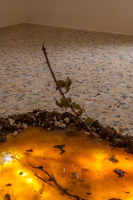 Image 42 of 58