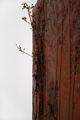 Image 56 of 58