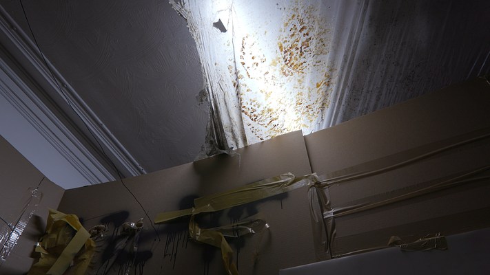 Image 24 of 51