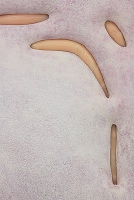 Image 14 of 26