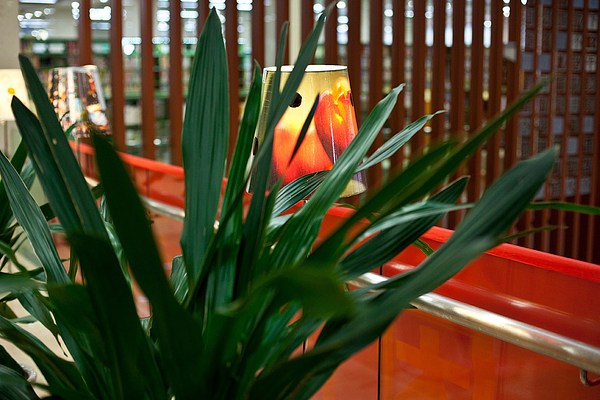 Image 13 of 25
