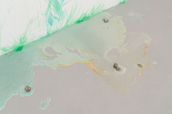Image 12 of 19