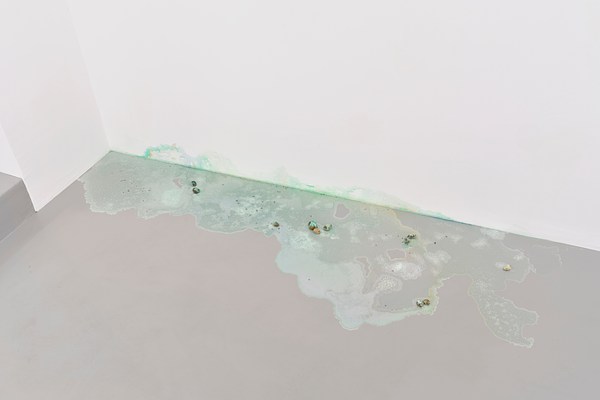 Image 11 of 19
