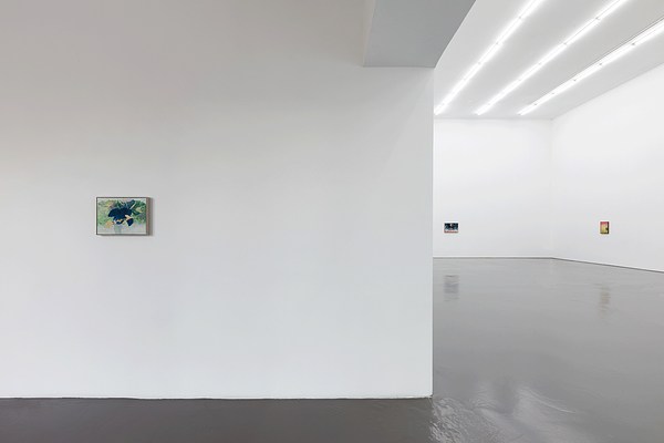 Image 1 of 15