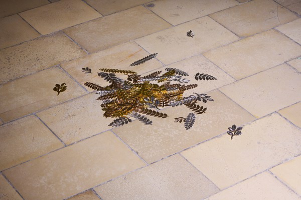 Image 45 of 55