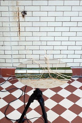 Image 4 of 46