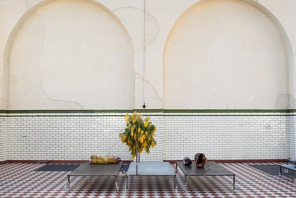 Image 9 of 46