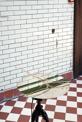 Image 19 of 46