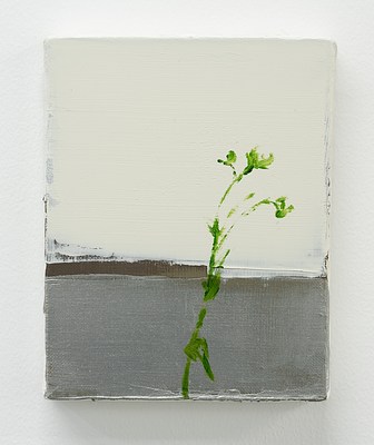 Image 12 of 31