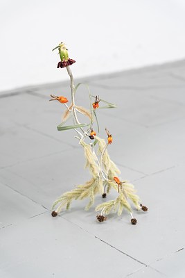 Image 31 of 31