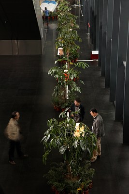 Image 7 of 14